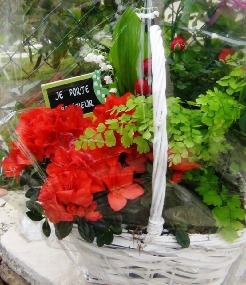 8b8f673f.jpg