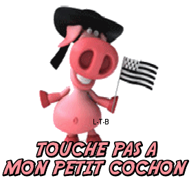 http://soutien-breton.s.o.pic.centerblog.net/c515d798.gif