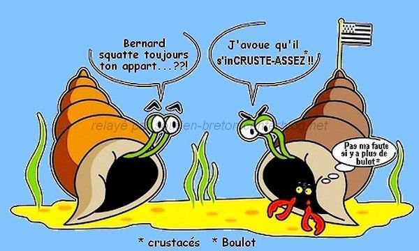 Humour Breton - Coquillages, crustacés et jeux de mots