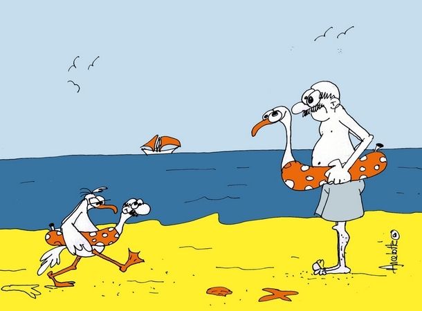 mouettes-et-bouee.jpg