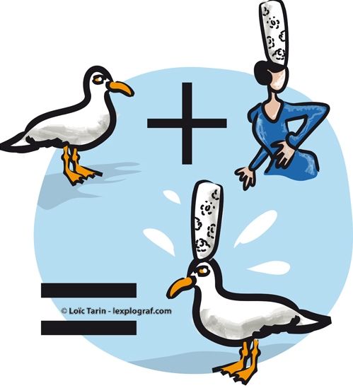 mouettes1_1.jpg