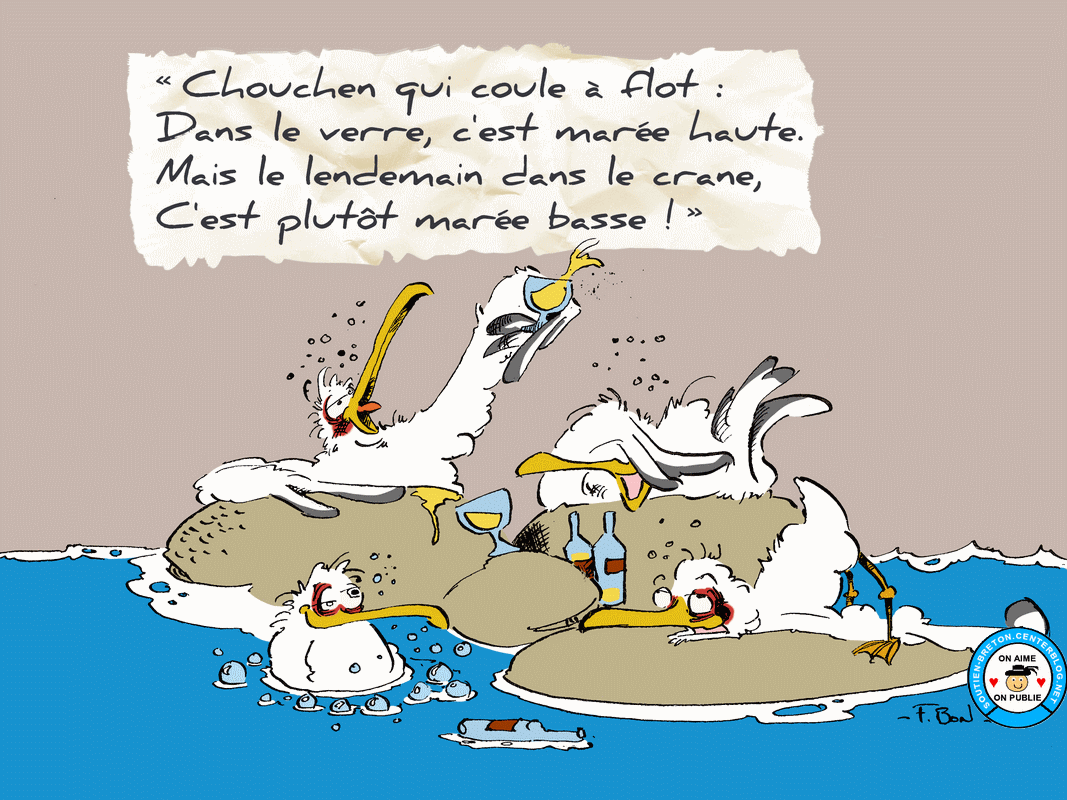 Humour Breton - Les Mouettes Par Frédéric Bon